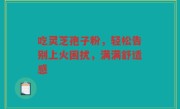 吃灵芝孢子粉,轻松告别上火困扰,满满舒适感