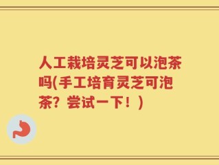 人工栽培灵芝可以泡茶吗(手工培育灵芝可泡茶？尝试一下！)