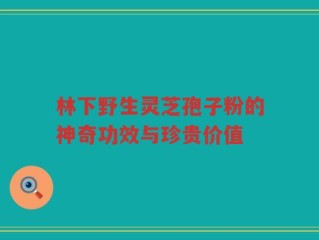 林下野生灵芝孢子粉的神奇功效与珍贵价值