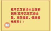 夏季灵芝食谱大全图解视频(夏季灵芝菜谱全集，视频图解，健康美味享用！)