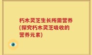 朽木灵芝生长所需营养(探究朽木灵芝吸收的营养元素)