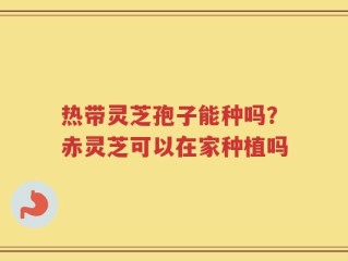 热带灵芝孢子能种吗？赤灵芝可以在家种植吗