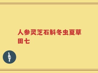 人参灵芝石斛冬虫夏草田七