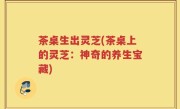 茶桌生出灵芝(茶桌上的灵芝：神奇的养生宝藏)