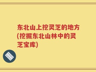 东北山上挖灵芝的地方(挖掘东北山林中的灵芝宝库)