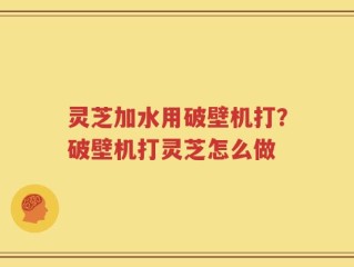 灵芝加水用破壁机打？破壁机打灵芝怎么做