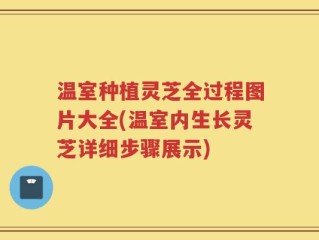 温室种植灵芝全过程图片大全(温室内生长灵芝详细步骤展示)