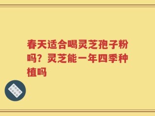 春天适合喝灵芝孢子粉吗？灵芝能一年四季种植吗