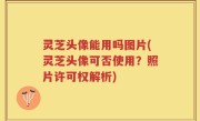 灵芝头像能用吗图片(灵芝头像可否使用？照片许可权解析)