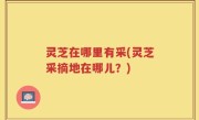 灵芝在哪里有采(灵芝采摘地在哪儿？)