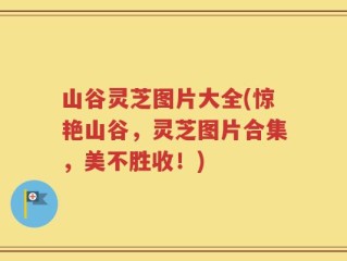 山谷灵芝图片大全(惊艳山谷，灵芝图片合集，美不胜收！)