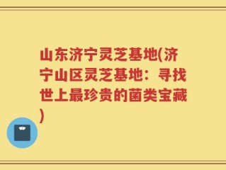 山东济宁灵芝基地(济宁山区灵芝基地：寻找世上最珍贵的菌类宝藏)
