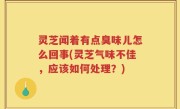 灵芝闻着有点臭味儿怎么回事(灵芝气味不佳，应该如何处理？)