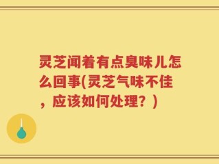 灵芝闻着有点臭味儿怎么回事(灵芝气味不佳，应该如何处理？)