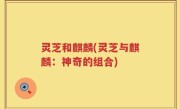 灵芝和麒麟(灵芝与麒麟：神奇的组合)
