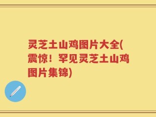 灵芝土山鸡图片大全(震惊！罕见灵芝土山鸡图片集锦)
