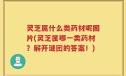 灵芝属什么类药材呢图片(灵芝属哪一类药材？解开谜团的答案！)