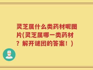 灵芝属什么类药材呢图片(灵芝属哪一类药材？解开谜团的答案！)