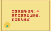 灵芝草泗阳(泗阳：中草药灵芝草出口欧美，农民收入增加)