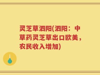 灵芝草泗阳(泗阳：中草药灵芝草出口欧美，农民收入增加)