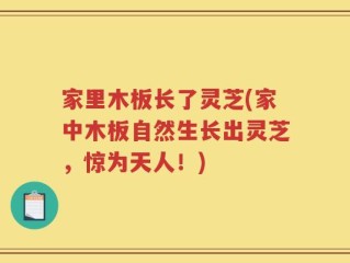 家里木板长了灵芝(家中木板自然生长出灵芝，惊为天人！)