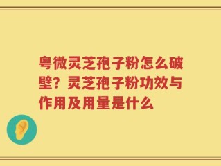 粤微灵芝孢子粉怎么破壁？灵芝孢子粉功效与作用及用量是什么