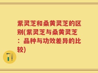 紫灵芝和桑黄灵芝的区别(紫灵芝与桑黄灵芝：品种与功效差异的比较)