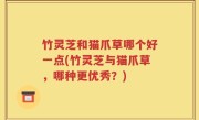 竹灵芝和猫爪草哪个好一点(竹灵芝与猫爪草，哪种更优秀？)
