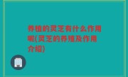养植的灵芝有什么作用呢(灵芝的养殖及作用介绍)
