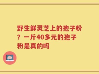 野生鲜灵芝上的孢子粉？一斤40多元的孢子粉是真的吗