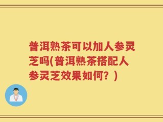 普洱熟茶可以加人参灵芝吗(普洱熟茶搭配人参灵芝效果如何？)