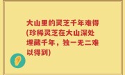 大山里的灵芝千年难得(珍稀灵芝在大山深处埋藏千年，独一无二难以得到)