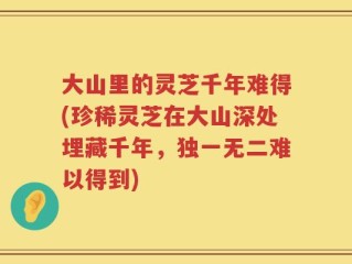 大山里的灵芝千年难得(珍稀灵芝在大山深处埋藏千年，独一无二难以得到)