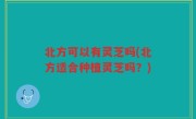 北方可以有灵芝吗(北方适合种植灵芝吗？)