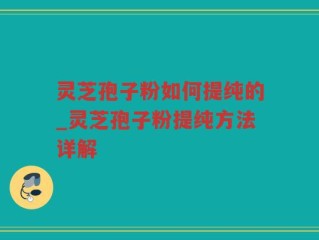 灵芝孢子粉如何提纯的_灵芝孢子粉提纯方法详解