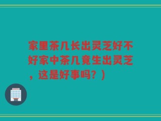 家里茶几长出灵芝好不好家中茶几竟生出灵芝，这是好事吗？)