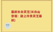 墓前长白灵芝(长白山祭祖：献上珍贵灵芝墓前)