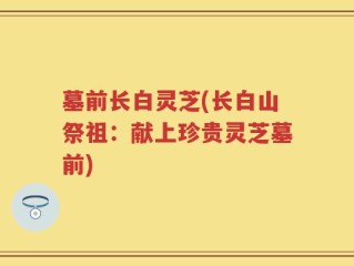 墓前长白灵芝(长白山祭祖：献上珍贵灵芝墓前)