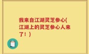 我来自江湖灵芝参心(江湖上的灵芝参心人来了！)