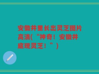 安徽井里长出灵芝图片高清(“神奇！安徽井底现灵芝！”)