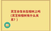 灵芝会生长在榕树上吗(灵芝和榕树有什么关系？)