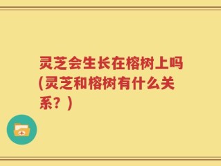 灵芝会生长在榕树上吗(灵芝和榕树有什么关系？)