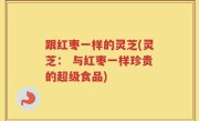 跟红枣一样的灵芝(灵芝： 与红枣一样珍贵的超级食品)