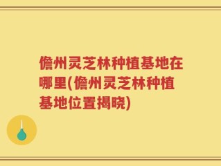 儋州灵芝林种植基地在哪里(儋州灵芝林种植基地位置揭晓)