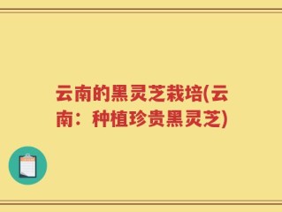 云南的黑灵芝栽培(云南：种植珍贵黑灵芝)