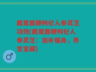 鹿茸鹿鞭枸杞人参灵芝功效(鹿茸鹿鞭枸杞人参灵芝：滋补强身，养生宝藏)