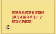 灵芝和乌灵芝有区别吗(灵芝还是乌灵芝？了解它们的区别)
