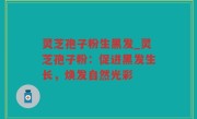 灵芝孢子粉生黑发_灵芝孢子粉：促进黑发生长，焕发自然光彩