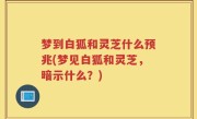 梦到白狐和灵芝什么预兆(梦见白狐和灵芝，暗示什么？)