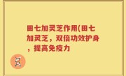 田七加灵芝作用(田七加灵芝，双倍功效护身，提高免疫力